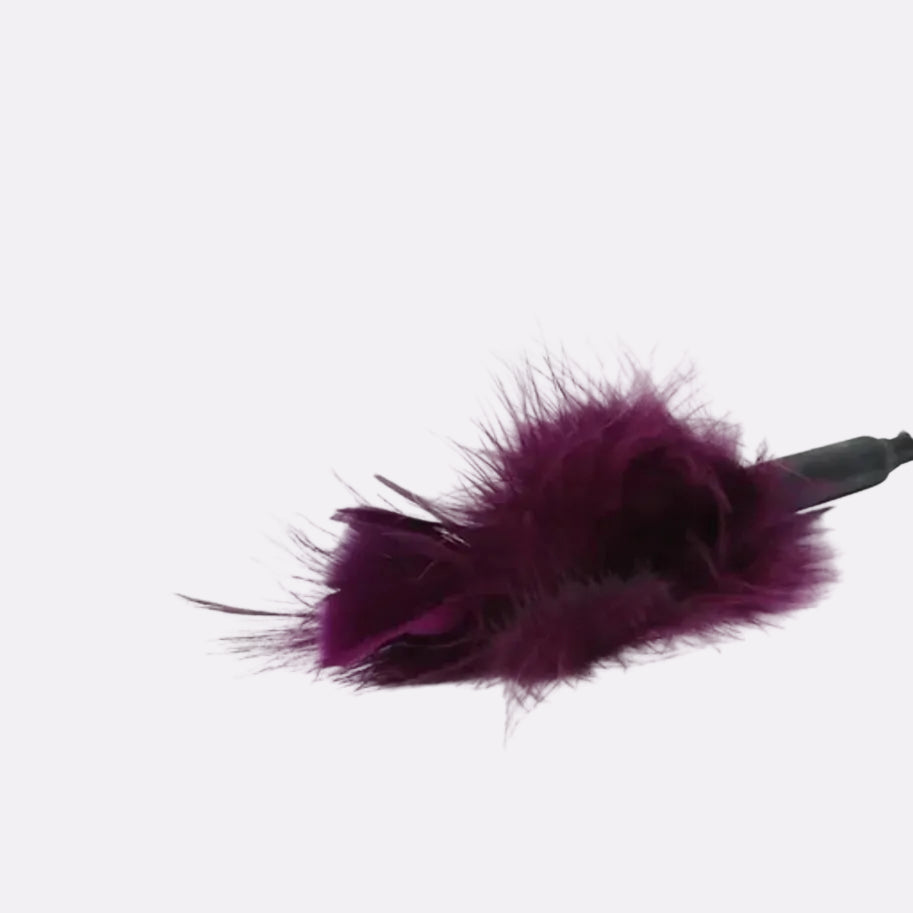 Feather Tickler – Soft Sensory Wellness Accessory