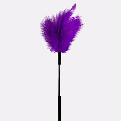 Feather Tickler – Soft Sensory Wellness Accessory