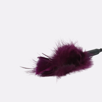 Feather Tickler – Soft Sensory Wellness Accessory